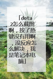 dota2怎么截图啊,按了热键没有用啊,没反应怎么解决,我是笔记本电脑