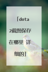 dota2截图保存在哪里 详细的