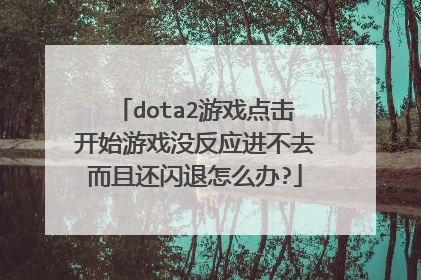 dota2游戏点击开始游戏没反应进不去而且还闪退怎么办?