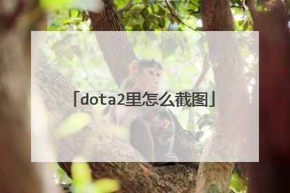 dota2里怎么截图