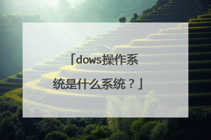 dows操作系统是什么系统？