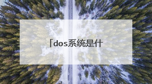 dos系统是什么操作系统?