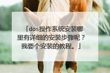 dos操作系统安装哪里有详细的安装步骤呢?我要个安装的教程。