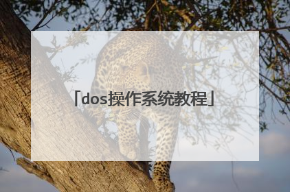 dos操作系统教程
