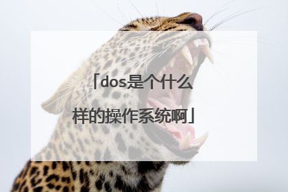 dos是个什么样的操作系统啊