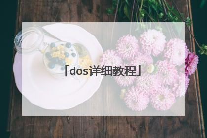 dos详细教程