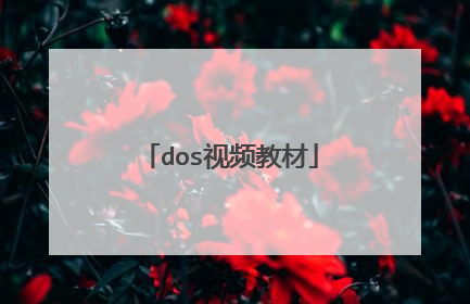 dos视频教材