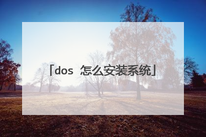 dos 怎么安装系统