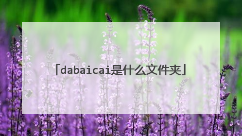 dabaicai是什么文件夹