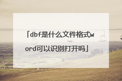 dbf是什么文件格式word可以识别打开吗