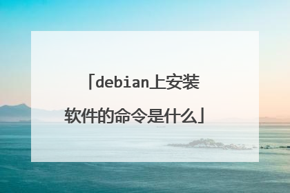 debian上安装软件的命令是什么