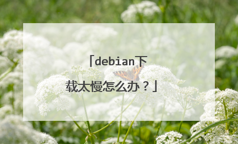 debian下载太慢怎么办?