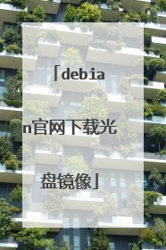 debian官网下载光盘镜像