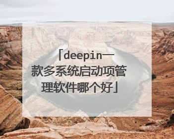 deepin一款多系统启动项管理软件哪个好