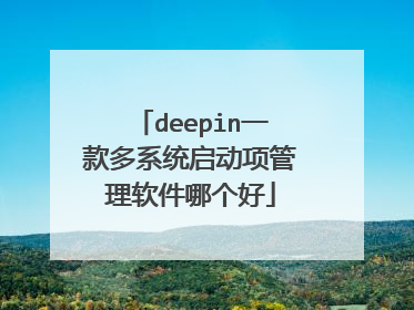 deepin一款多系统启动项管理软件哪个好