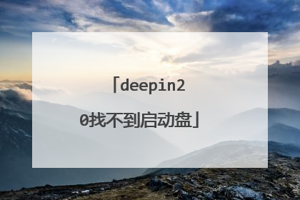 deepin20找不到启动盘
