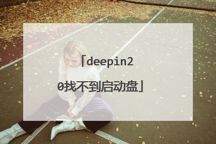 deepin20找不到启动盘