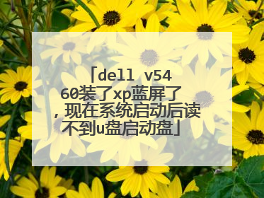 dell v5460装了xp蓝屏了,现在系统启动后读不到u盘启动盘