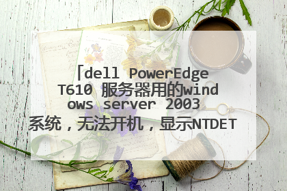 dell PowerEdge T610 服务器用的windows server 2003系统,无法开机,显示NTDETECT失败,怎么解决?