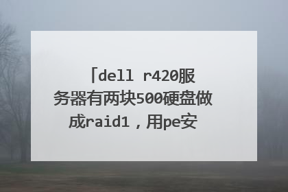 dell r420服务器有两块500硬盘做成raid1,用pe安装2008系统,复制完成后重启,在读进度条之后蓝屏闪退。