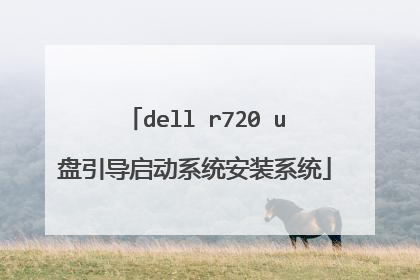 dell r720 u盘引导启动系统安装系统