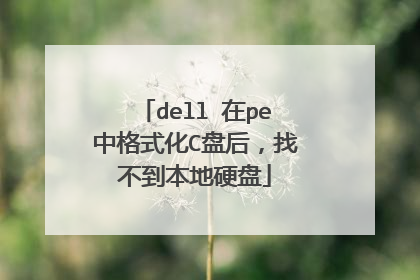 dell 在pe中格式化C盘后，找不到本地硬盘