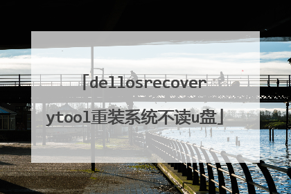 dellosrecoverytool重装系统不读u盘