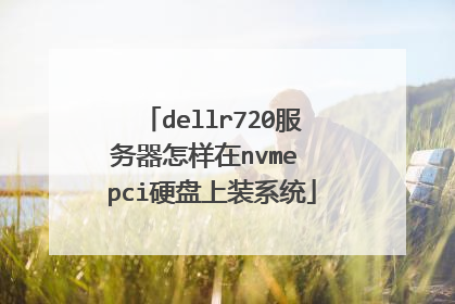dellr720服务器怎样在nvme pci硬盘上装系统