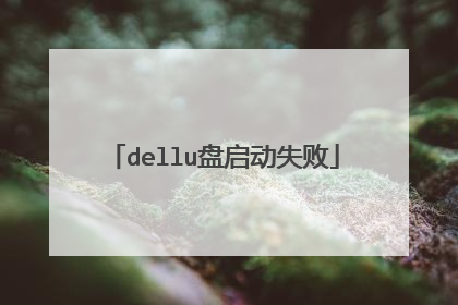 dellu盘启动失败