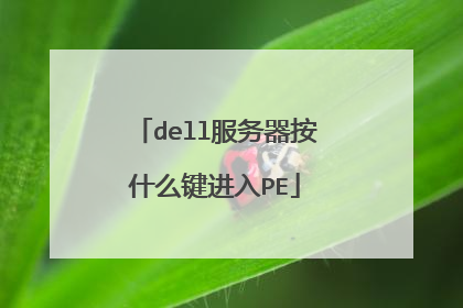 dell服务器按什么键进入PE
