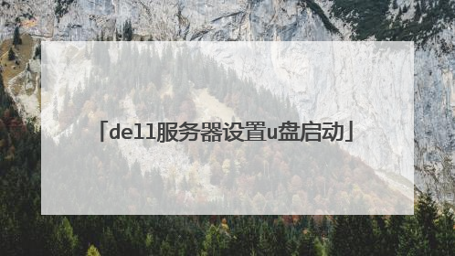 dell服务器设置u盘启动