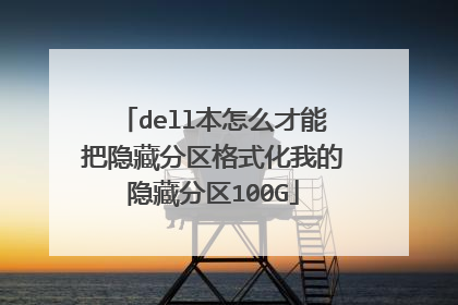 dell本怎么才能把隐藏分区格式化我的隐藏分区100G