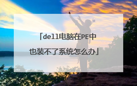dell电脑在PE中也装不了系统怎么办