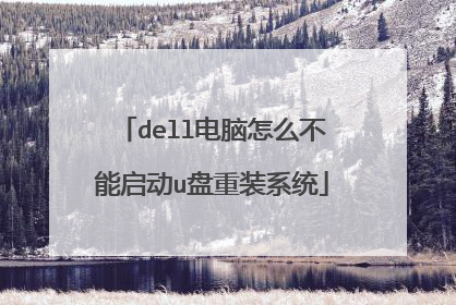 dell电脑怎么不能启动u盘重装系统