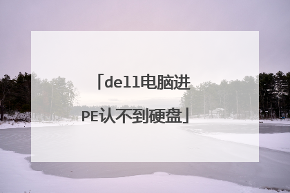 dell电脑进PE认不到硬盘