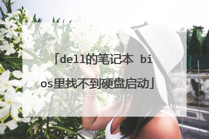dell的笔记本 bios里找不到硬盘启动