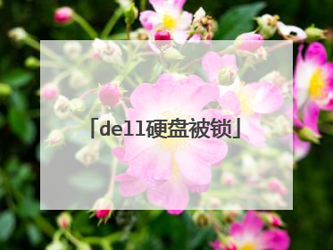 dell硬盘被锁