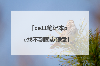 dell笔记本pe找不到固态硬盘