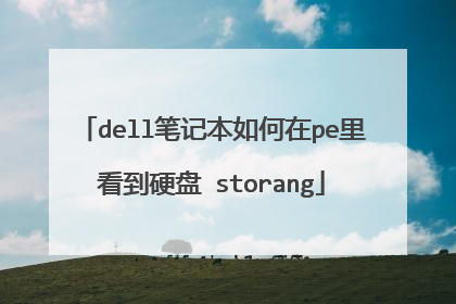 dell笔记本如何在pe里看到硬盘 storang