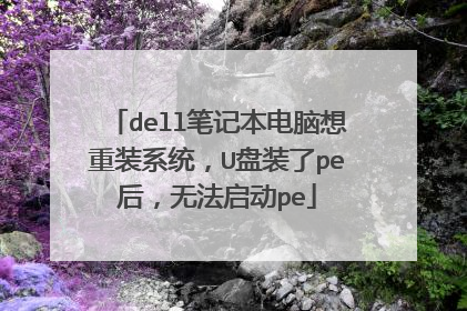 dell笔记本电脑想重装系统，U盘装了pe后，无法启动pe