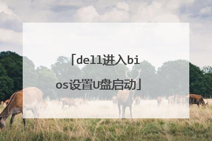 dell进入bios设置U盘启动