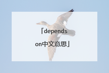 depends on中文意思