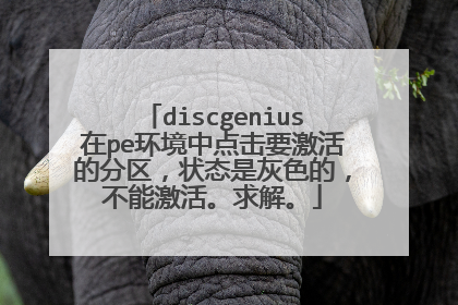 discgenius在pe环境中点击要激活的分区，状态是灰色的，不能激活。求解。