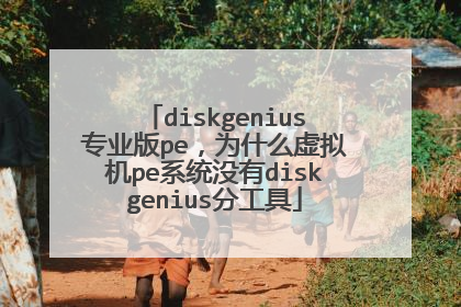 diskgenius专业版pe，为什么虚拟机pe系统没有diskgenius分工具
