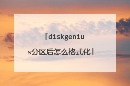 diskgenius分区后怎么格式化