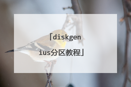diskgenius分区教程