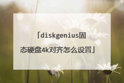 diskgenius固态硬盘4k对齐怎么设置