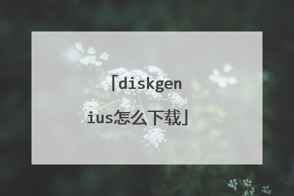 diskgenius怎么下载