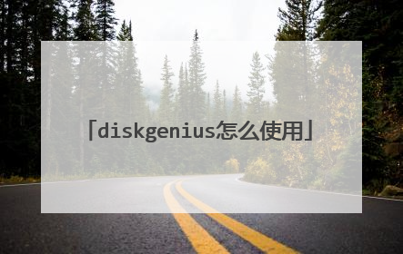 diskgenius怎么使用