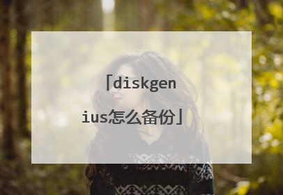 diskgenius怎么备份